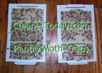 Kitchen Pheromone Moth Traps
