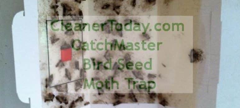 Bird Seed Moth Trap from NYC